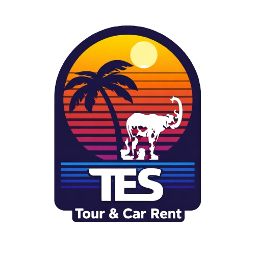 Tes Tour Logo